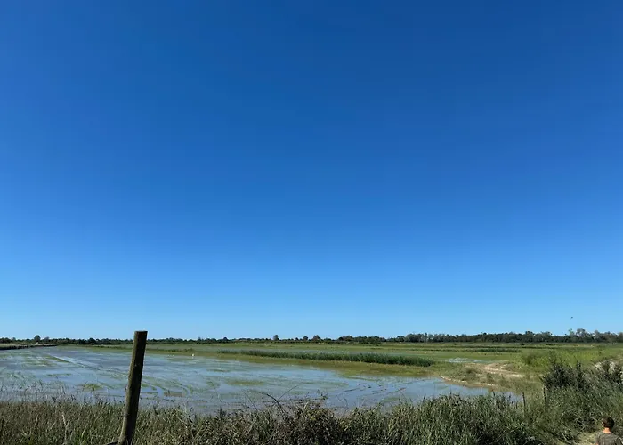 Cabanon Au Bord Du Petit Rhone