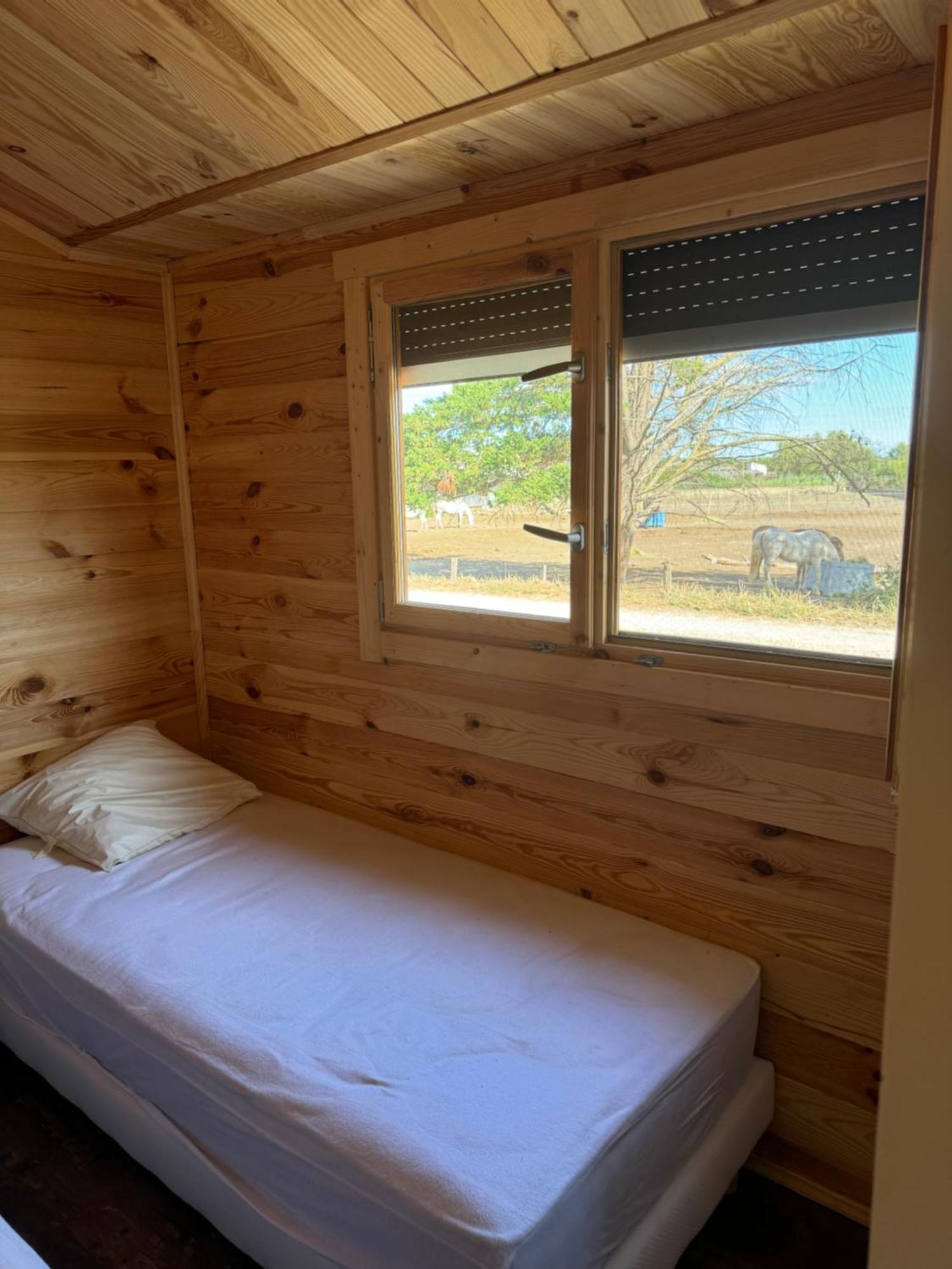 Cabanon Au Bord Du Petit Rhone Chalet Sylvéréal