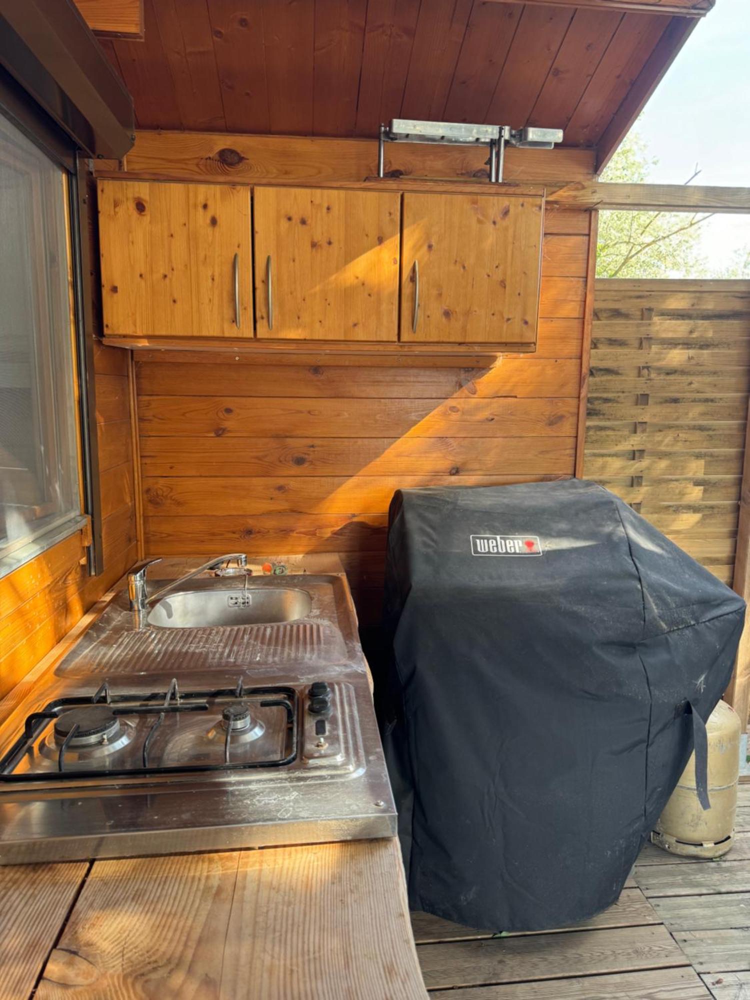 Cabanon Au Bord Du Petit Rhone *